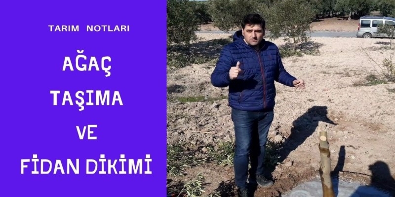 AĞAÇ TAŞIMA VE FİDAN DİKİMİ