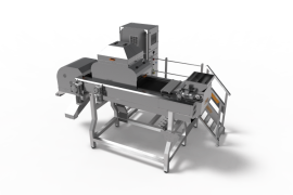 Zeytin Renk Ayırma Makinası Speedy 16C